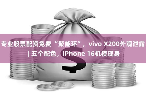 专业股票配资免费 “聚能环”，vivo X200外观泄露 | 五个配色，iPhone 16机模现身